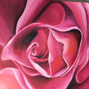 Den rosa skönheten